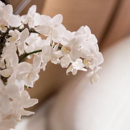 Hotel Wirtshaus Am Schloss Aicha vorm Wald エクステリア 写真